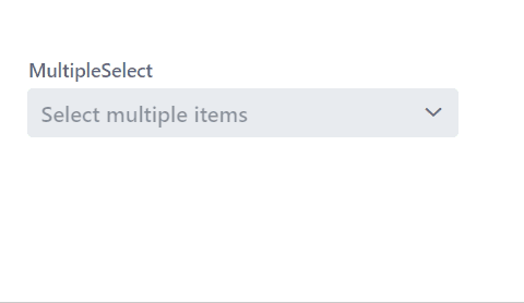 The input field displays the first selected item with the number of remaining selected items displayed in between brackets.